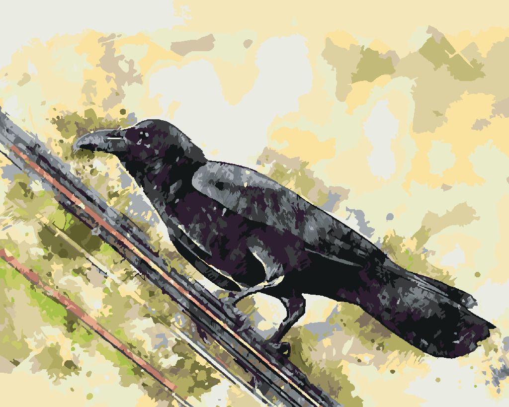 zuty Malování podle čísel - VRÁNA NA DRÁTĚ - Rozměr: 40x50 cm, Rámování: Varianta: vypnuté plátno na rám - obrázek 9