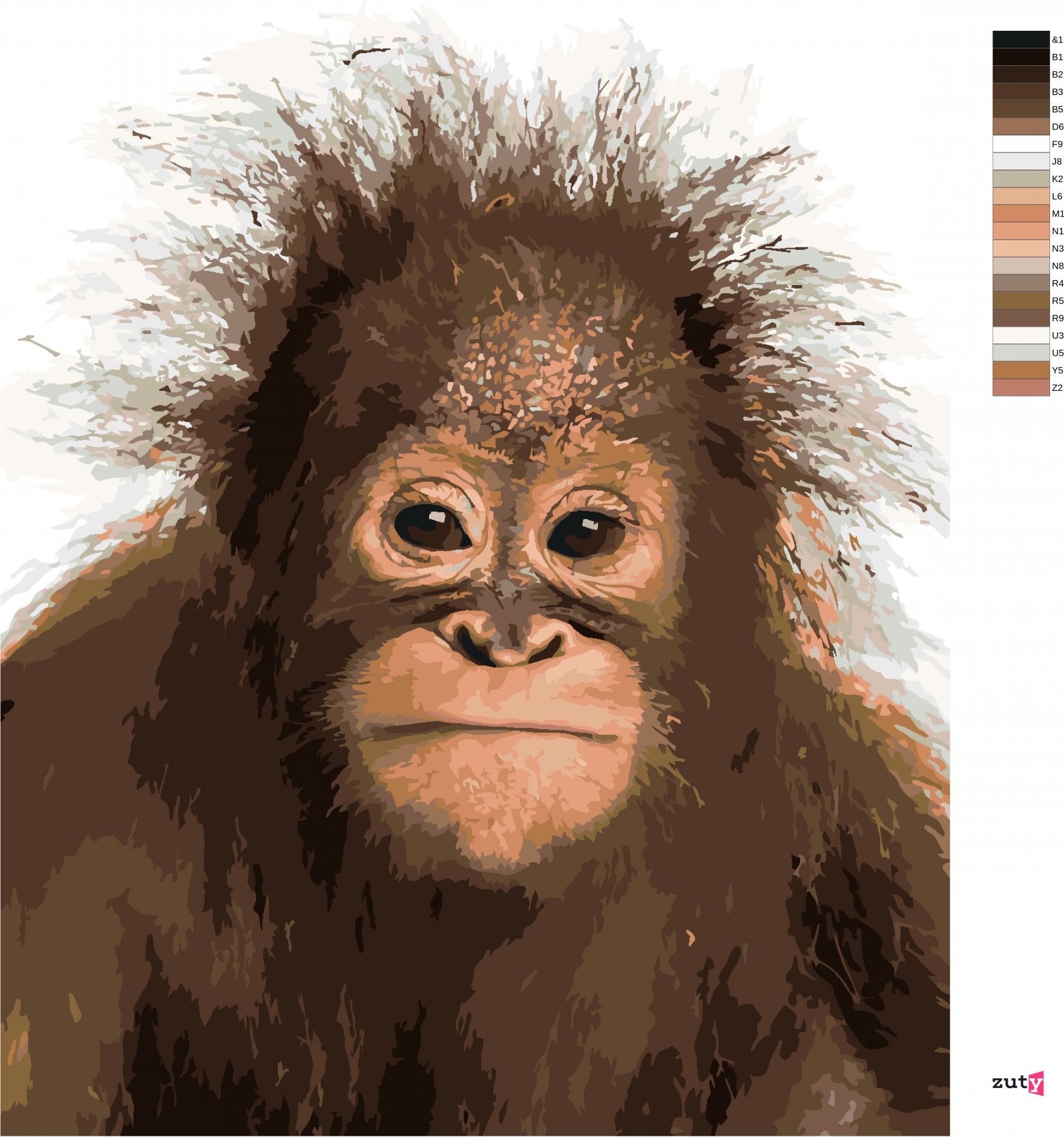 zuty Malování podle čísel - MLADÝ ORANGUTAN - Rozměr: 40x50 cm, Rámování: Varianta: vypnuté plátno na rám - obrázek 5