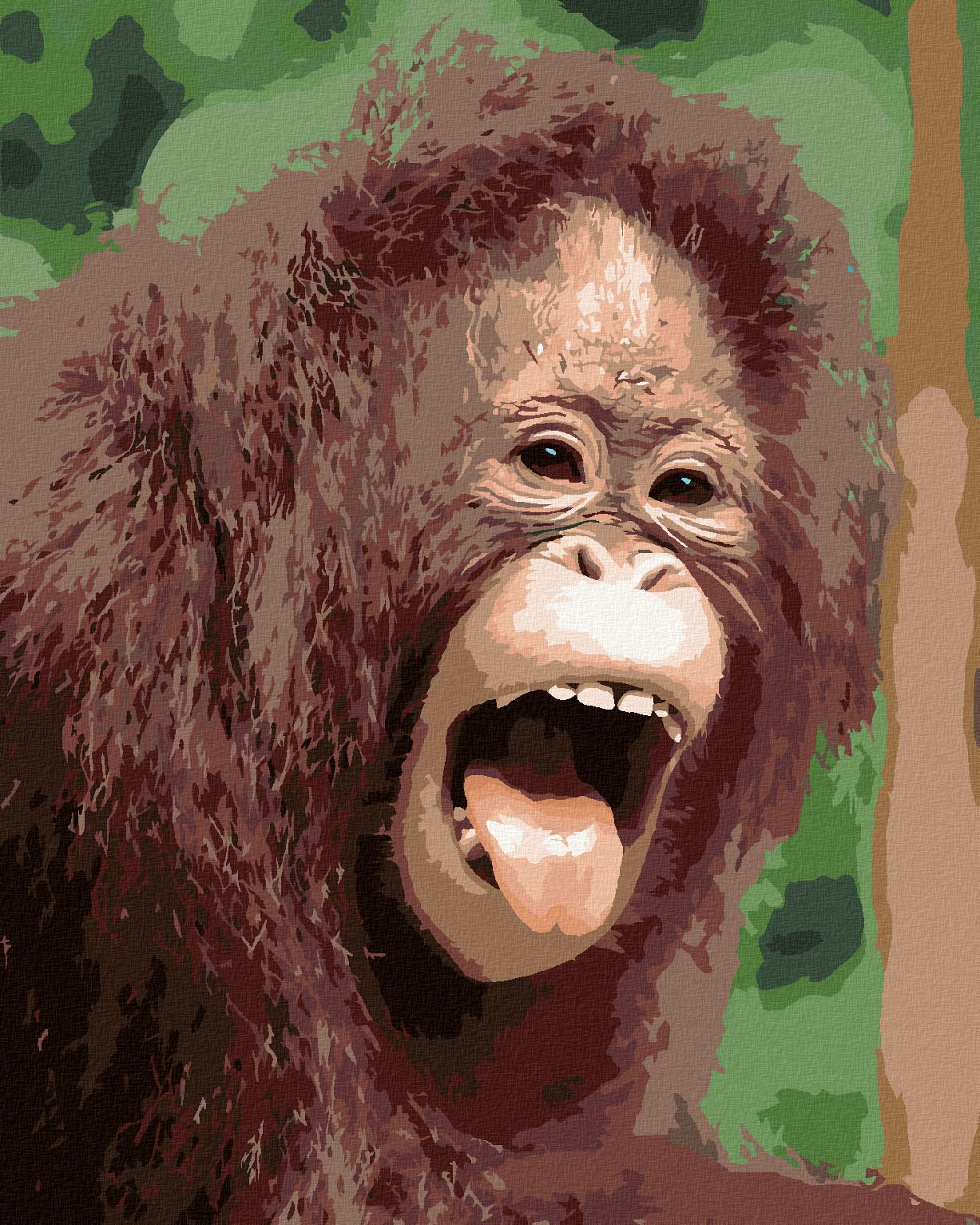 zuty Malování podle čísel - ORANGUTAN S OTEVŘENOU TLAMOU - Rozměr: 40x50 cm, Rámování: Varianta: vypnuté plátno na rám - obrázek 1