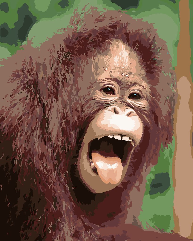 zuty Malování podle čísel - ORANGUTAN S OTEVŘENOU TLAMOU - Rozměr: 40x50 cm, Rámování: Varianta: vypnuté plátno na rám - obrázek 7