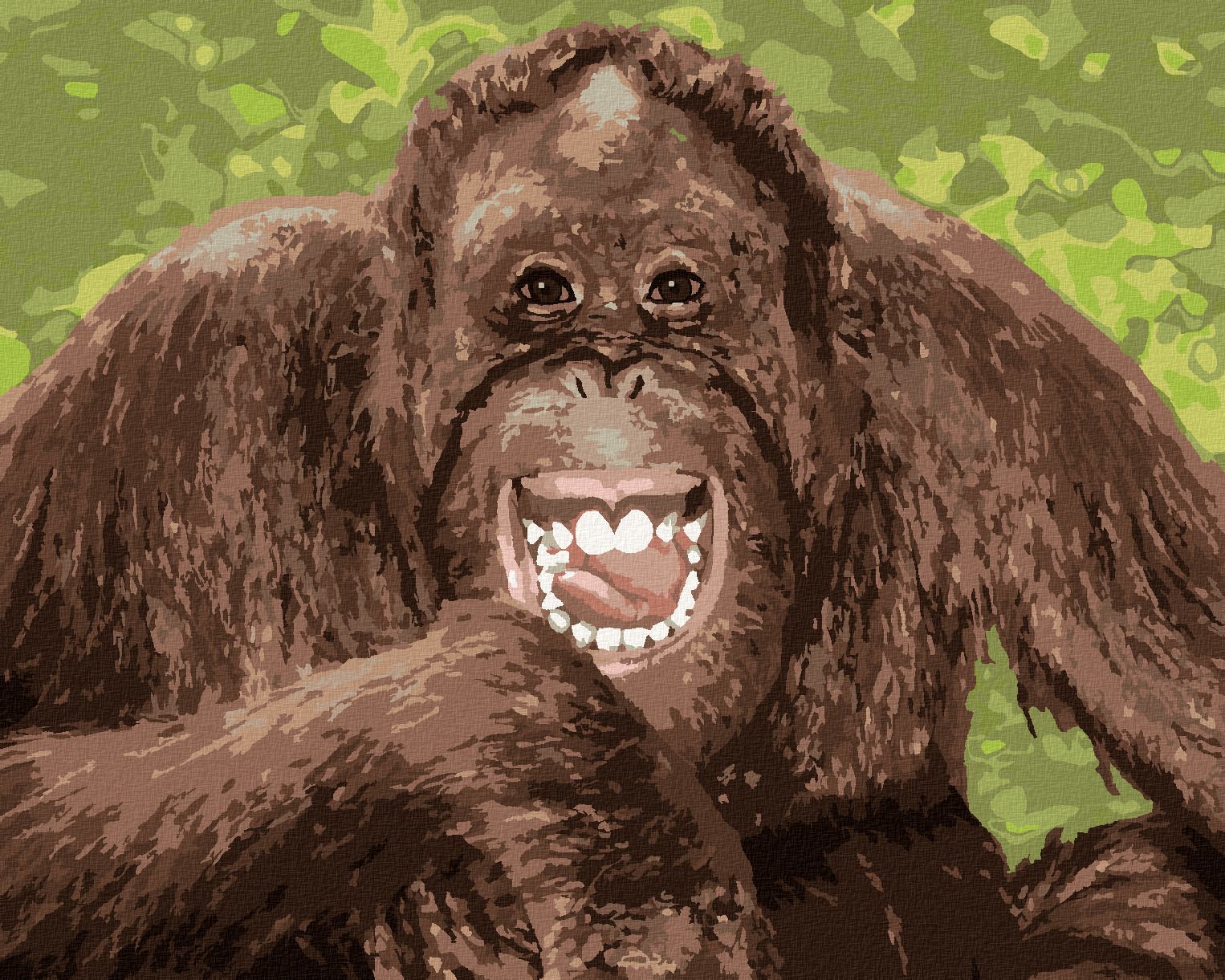 zuty Malování podle čísel - VYSMÁTÝ ORANGUTAN - Rozměr: 40x50 cm, Rámování: Varianta: vypnuté plátno na rám - obrázek 1