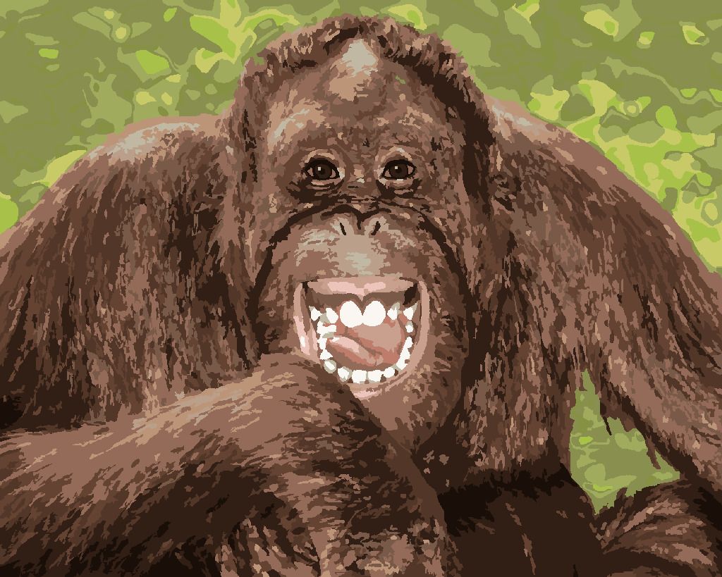 zuty Malování podle čísel - VYSMÁTÝ ORANGUTAN - Rozměr: 40x50 cm, Rámování: Varianta: vypnuté plátno na rám - obrázek 5