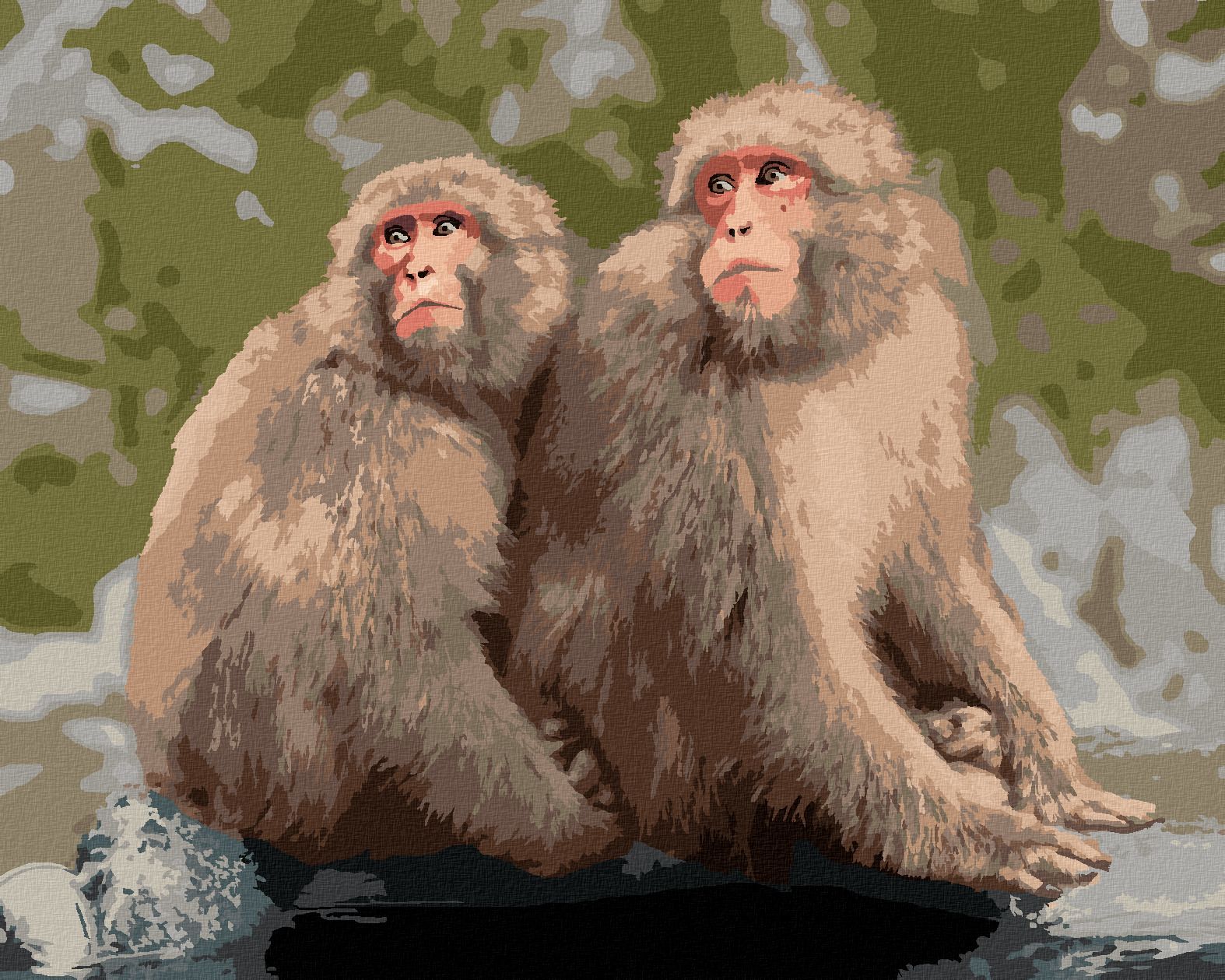 zuty Malování podle čísel - DVĚ OPICE V ZOO V JAPONSKU - Rozměr: 40x50 cm, Rámování: Varianta: vypnuté plátno na rám - obrázek 1