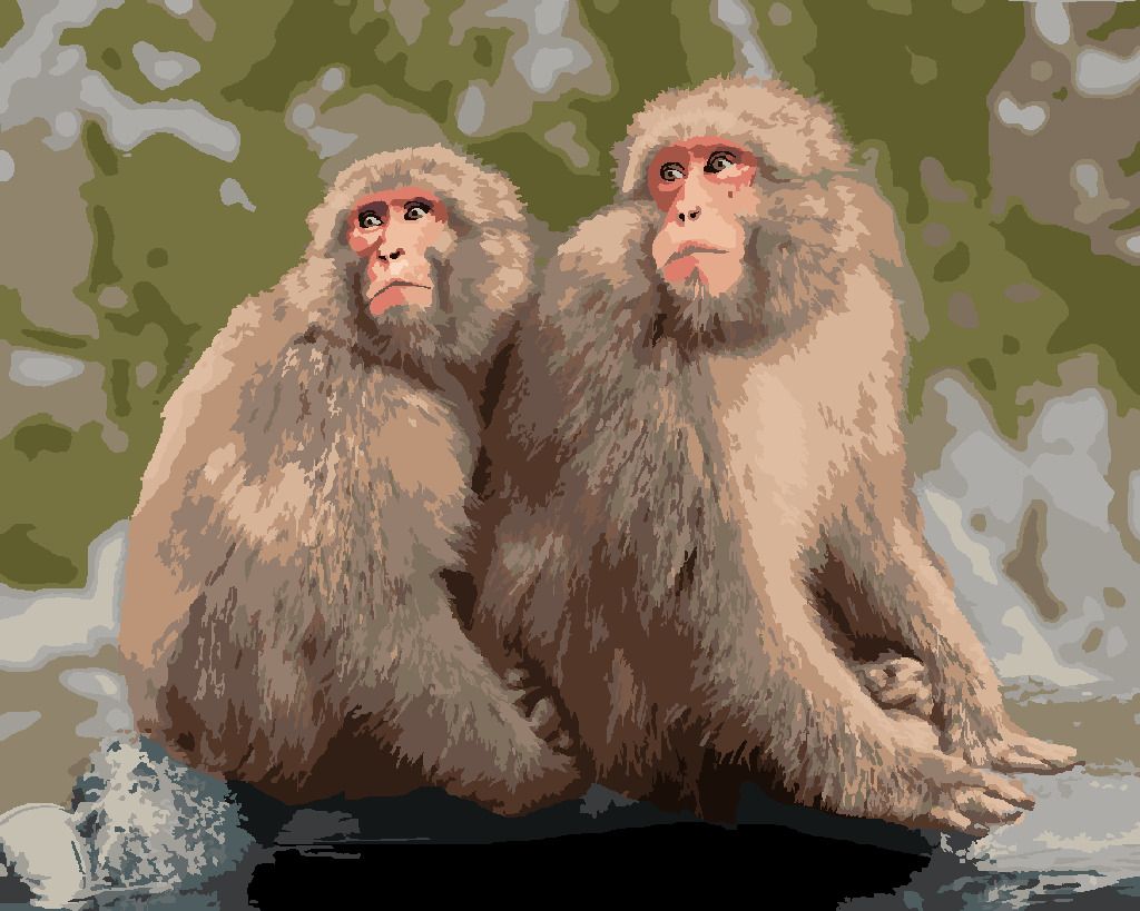 zuty Malování podle čísel - DVĚ OPICE V ZOO V JAPONSKU - Rozměr: 40x50 cm, Rámování: Varianta: vypnuté plátno na rám - obrázek 6