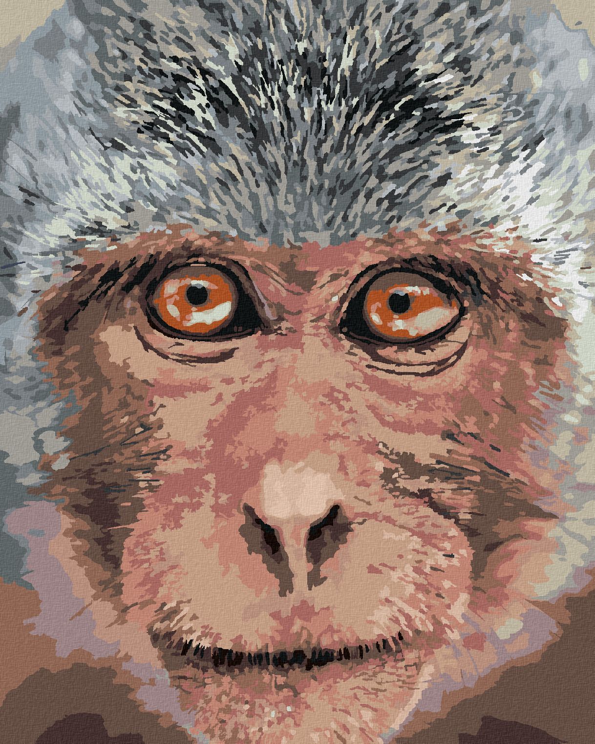 zuty Malování podle čísel - OPICE Z BLÍZKA - Rozměr: 40x50 cm, Rámování: Varianta: vypnuté plátno na rám - obrázek 1