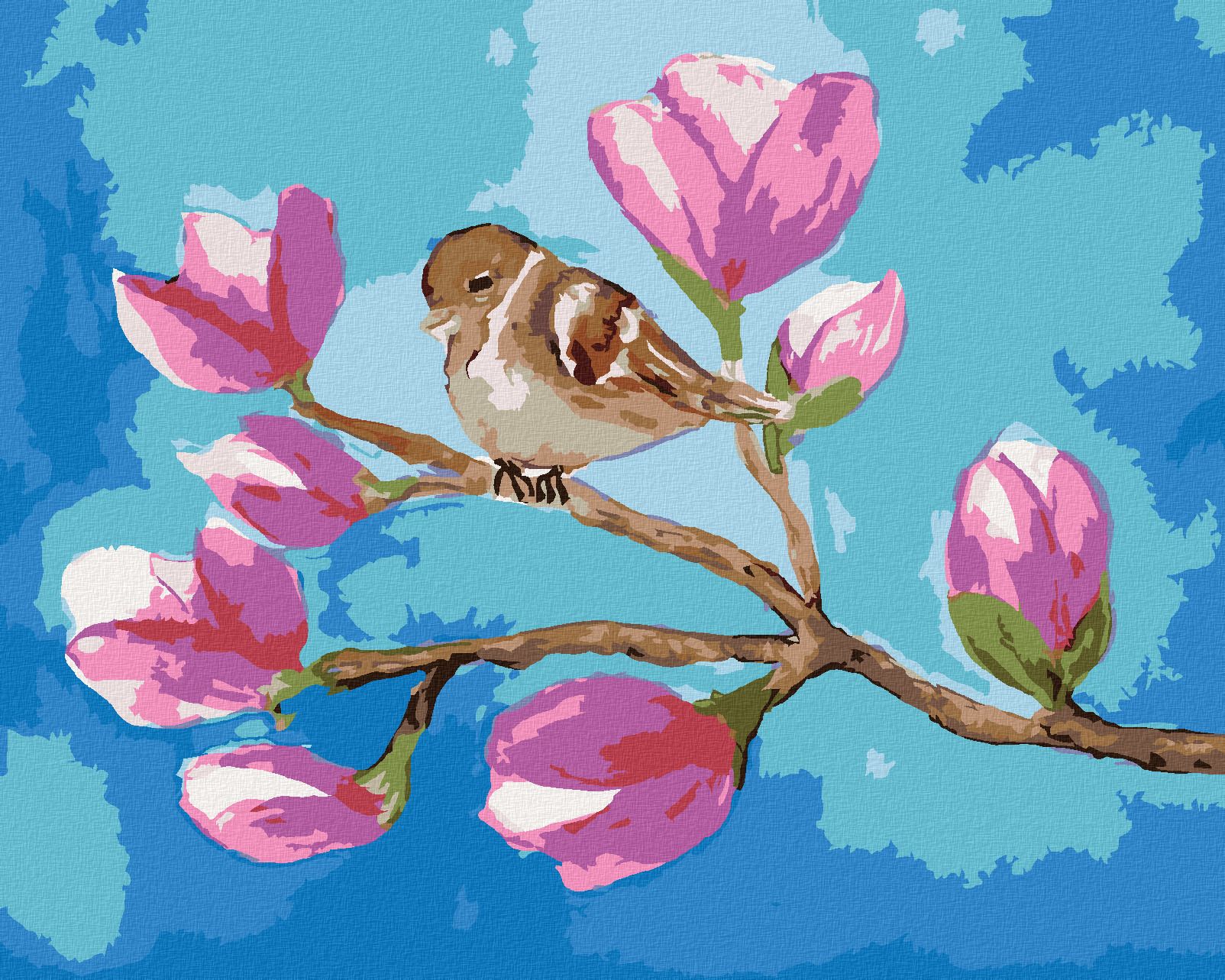 zuty Malování podle čísel - SEDÍCÍ VRABEC NA VĚTVI S KVĚTY MAGNÓLIE - Rozměr: 40x50 cm, Rámování: Varianta: bez rámu a bez vypnutí plátna - obrázek 1