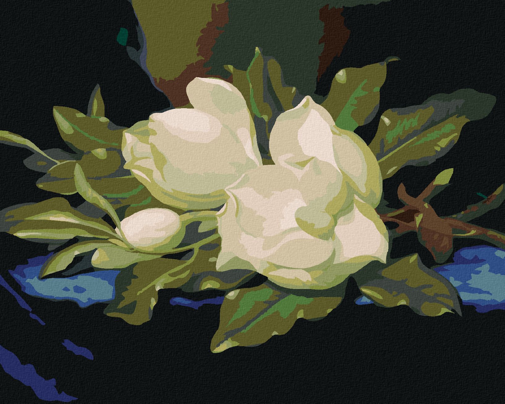 zuty Malování podle čísel - MAGNÓLIE NA MODRÉM SAMETU - Rozměr: 40x50 cm, Rámování: Varianta: vypnuté plátno na rám - obrázek 1