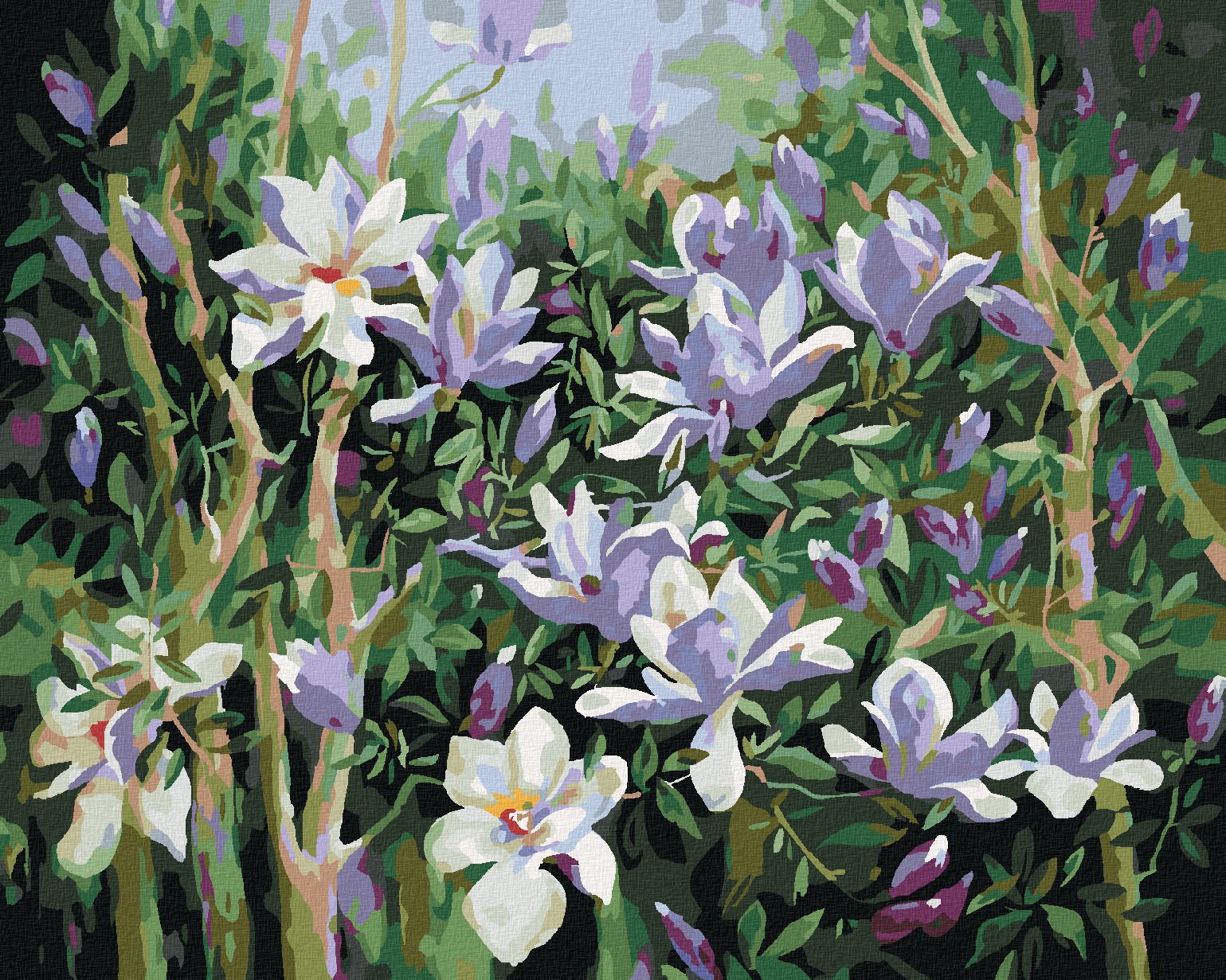 zuty Malování podle čísel - JARNÍ MAGNÓLIE - Rozměr: 40x50 cm, Rámování: Varianta: bez rámu a bez vypnutí plátna - obrázek 1
