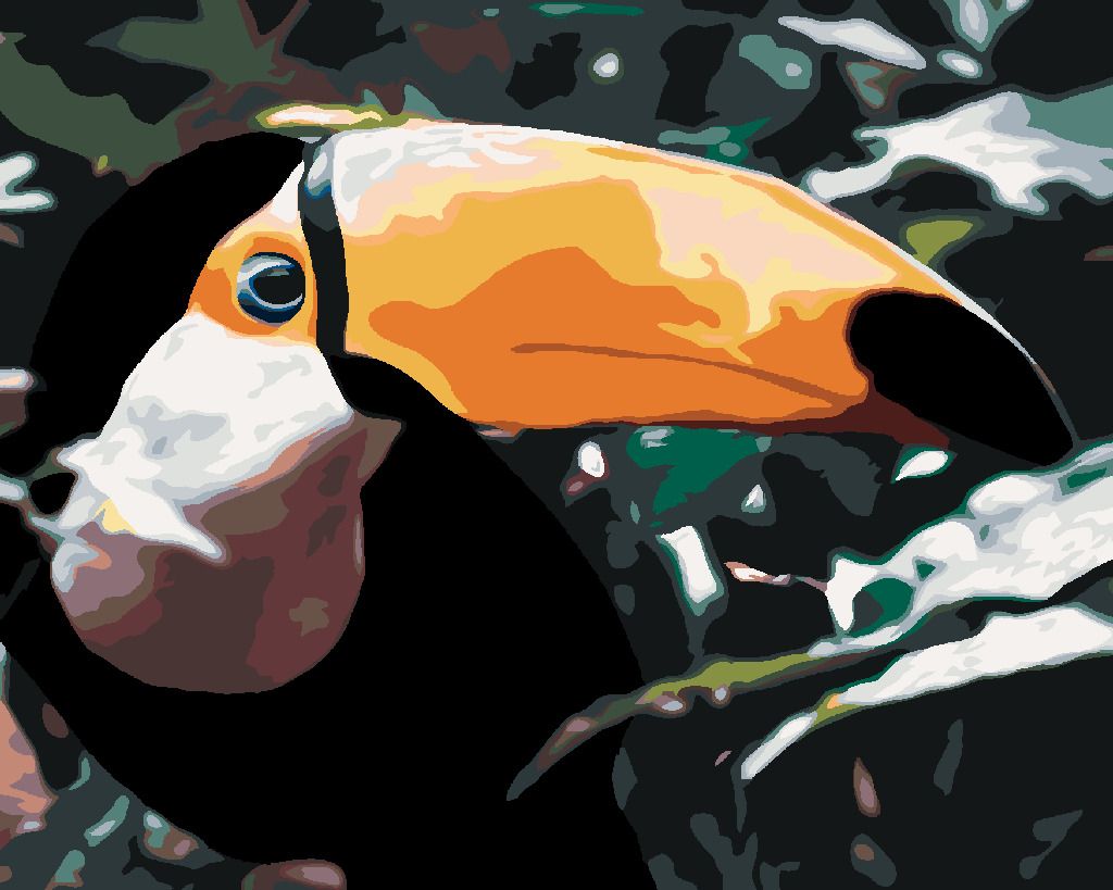 zuty Malování podle čísel - TUKAN V LESE - Rozměr: 40x50 cm, Rámování: Varianta: bez rámu a bez vypnutí plátna - obrázek 8
