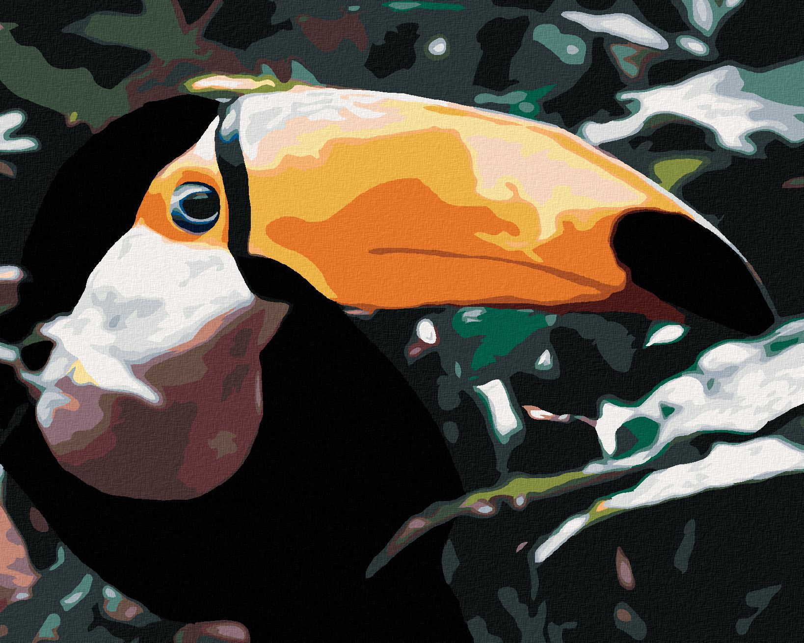 zuty Malování podle čísel - TUKAN V LESE - Rozměr: 40x50 cm, Rámování: Varianta: vypnuté plátno na rám - obrázek 1
