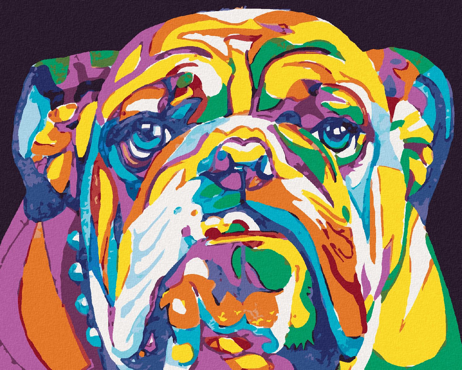 zuty Malování podle čísel - BAREVNÝ BULLDOG - Rozměr: 40x50 cm, Rámování: Varianta: bez rámu a bez vypnutí plátna - obrázek 1