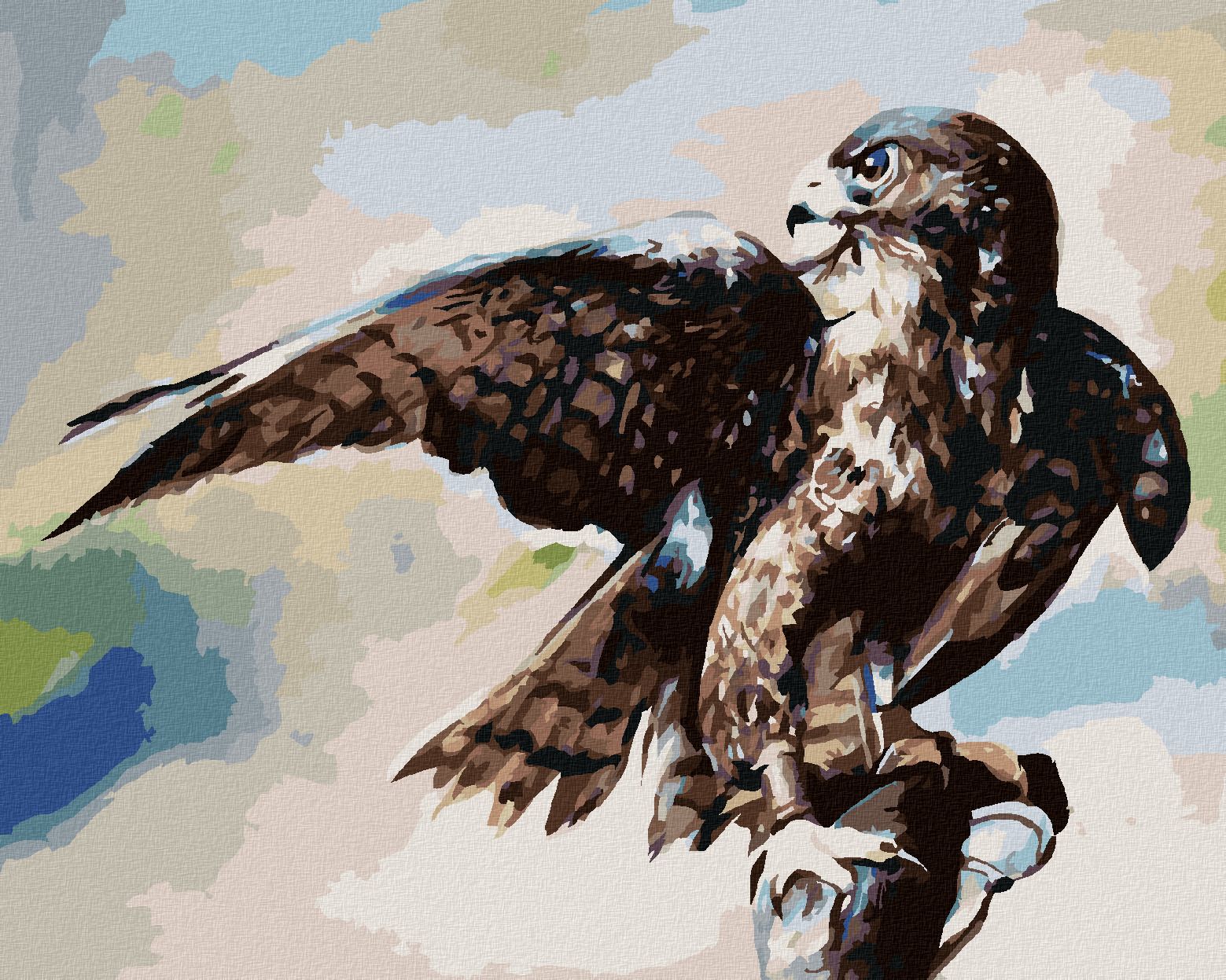 zuty Malování podle čísel - JESTŘÁB V LESE - Rozměr: 40x50 cm, Rámování: Varianta: bez rámu a bez vypnutí plátna - obrázek 1