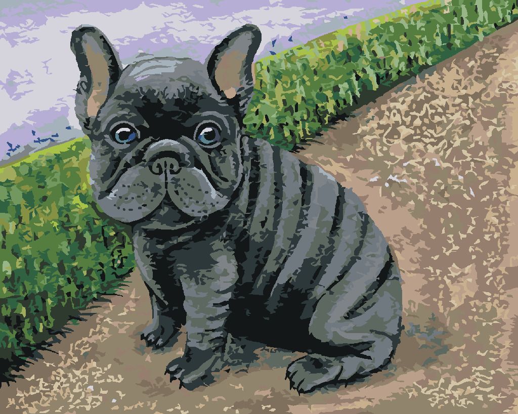 zuty Malování podle čísel - FRANCOUZSKÝ BULDOČEK - Rozměr: 40x50 cm, Rámování: Varianta: bez rámu a bez vypnutí plátna - obrázek 7