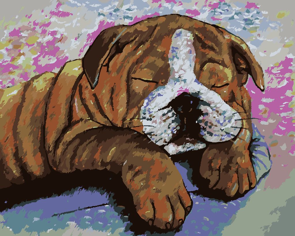 zuty Malování podle čísel - BULDOČEK V KRAVÍM PŘEVLEKU - Rozměr: 40x50 cm, Rámování: Varianta: bez rámu a bez vypnutí plátna - obrázek 7