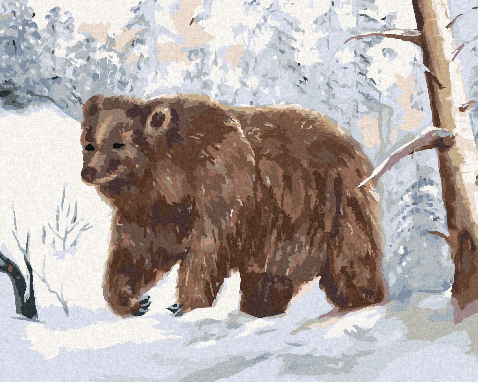 zuty Malování podle čísel - MEDVĚD V ZASNEŽENÉM LESE - Rozměr: 40x50 cm, Rámování: Varianta: bez rámu a bez vypnutí plátna - obrázek 1
