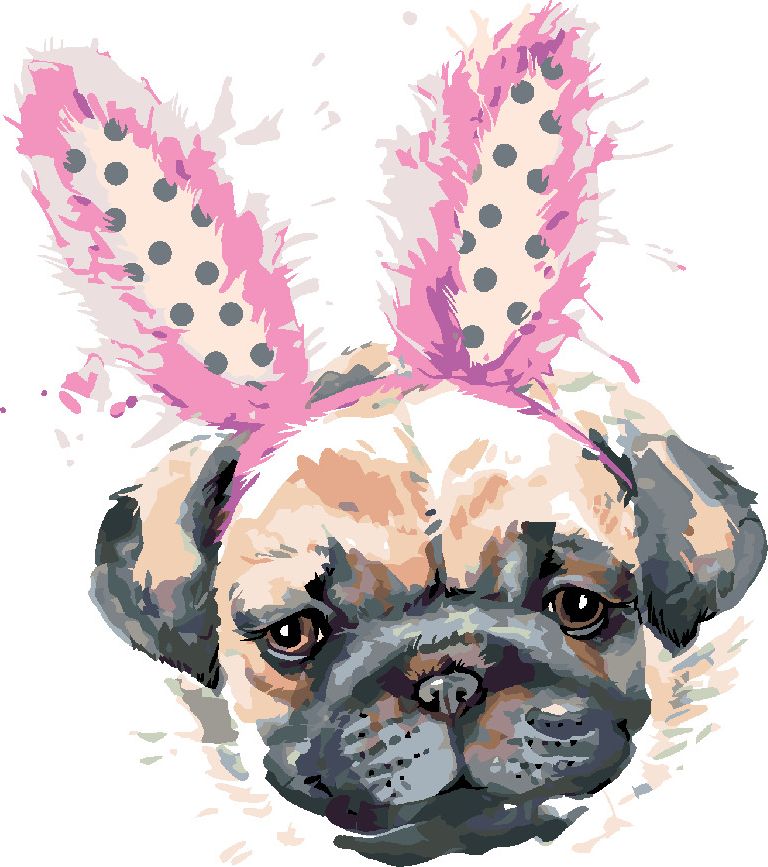 zuty Malování podle čísel - MOPS S ČELENKOU - Rozměr: 40x50 cm, Rámování: Varianta: bez rámu a bez vypnutí plátna - obrázek 2