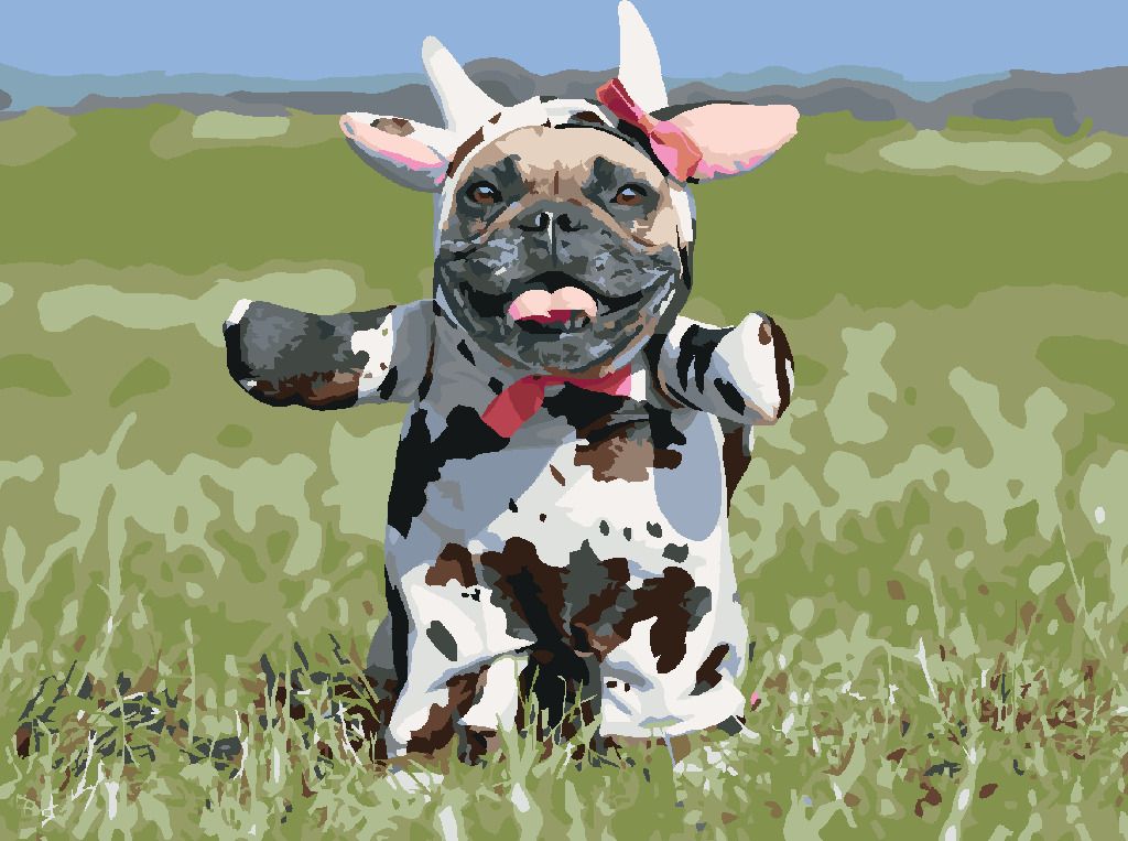 zuty Malování podle čísel - BULDOČEK PŘEVLEČENÝ ZA KRÁVU - Rozměr: 40x50 cm, Rámování: Varianta: bez rámu a bez vypnutí plátna - obrázek 4
