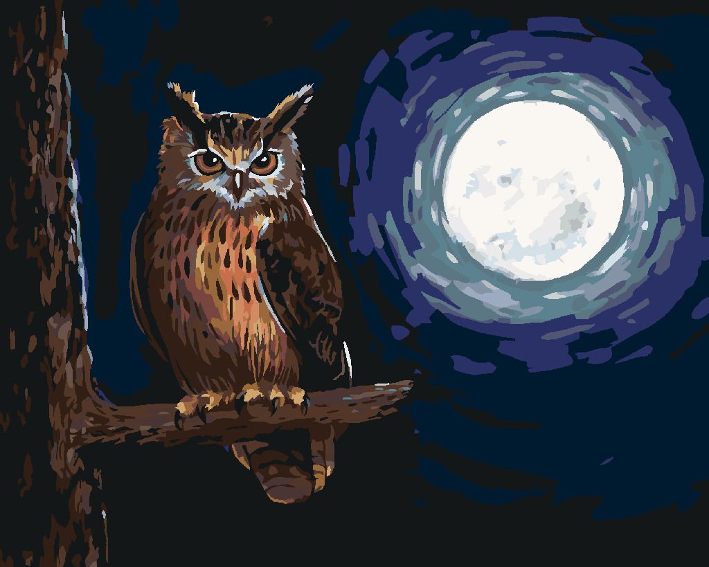 zuty Malování podle čísel - SOVA A SVIT MĚSÍCEv - Rozměr: 40x50 cm, Rámování: Varianta: bez rámu a bez vypnutí plátna - obrázek 7