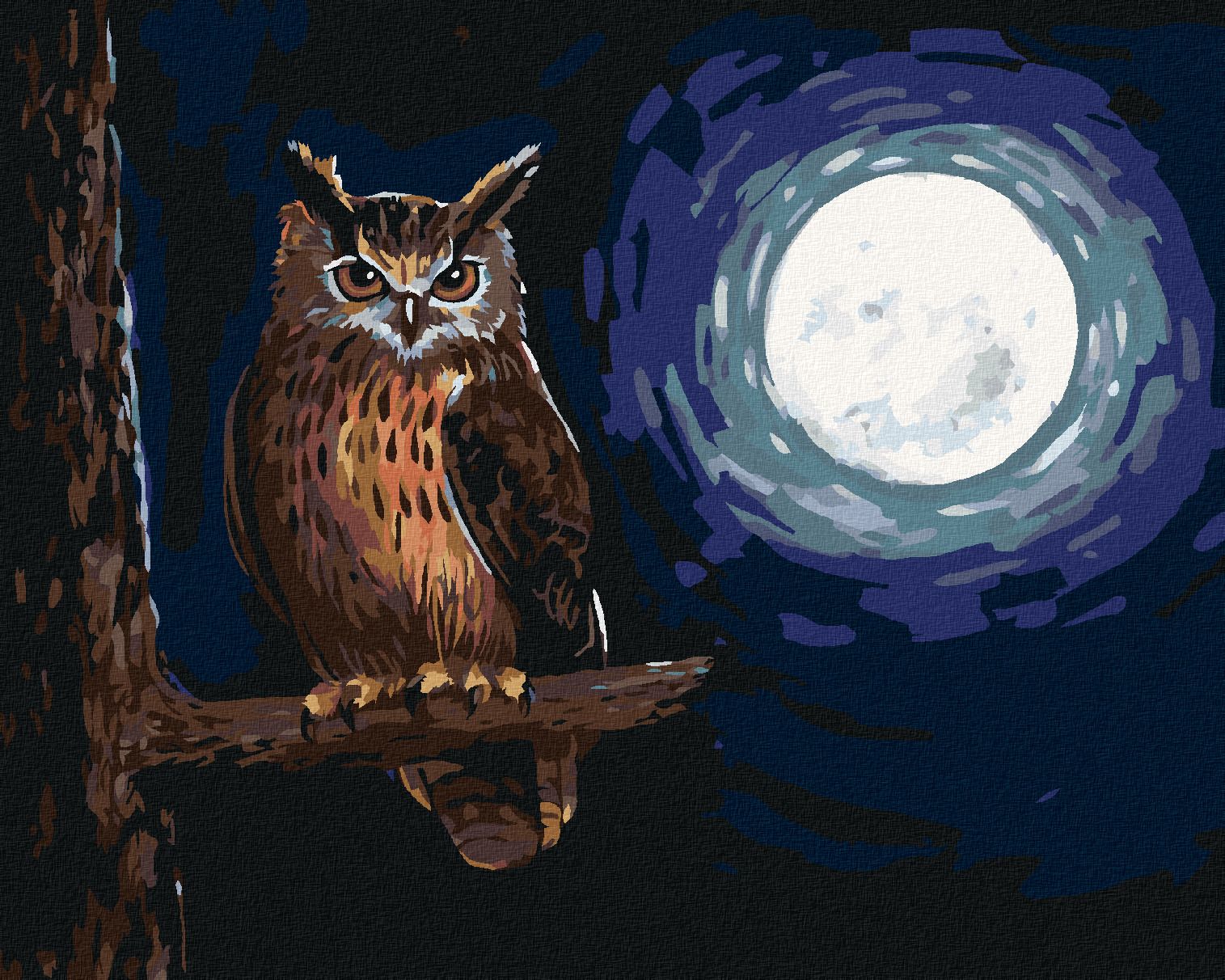 zuty Malování podle čísel - SOVA A SVIT MĚSÍCEv - Rozměr: 40x50 cm, Rámování: Varianta: vypnuté plátno na rám - obrázek 1