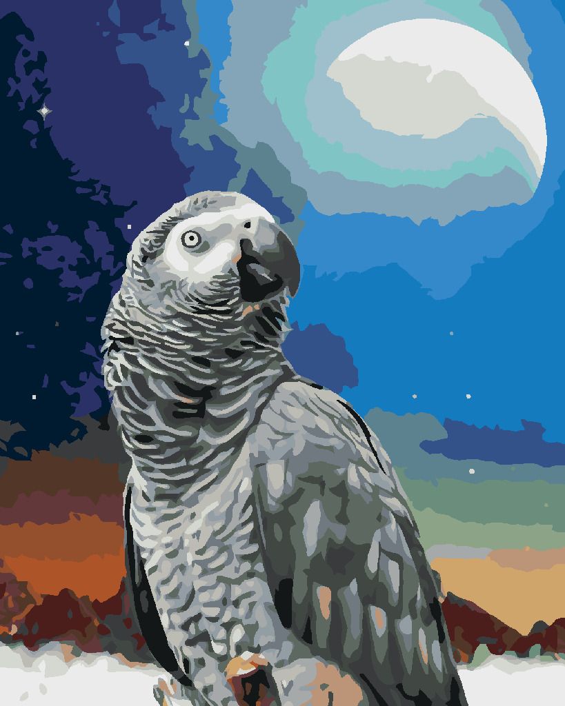 zuty Malování podle čísel - PAPOUŠEK A MĚSÍC - Rozměr: 40x50 cm, Rámování: Varianta: bez rámu a bez vypnutí plátna - obrázek 3