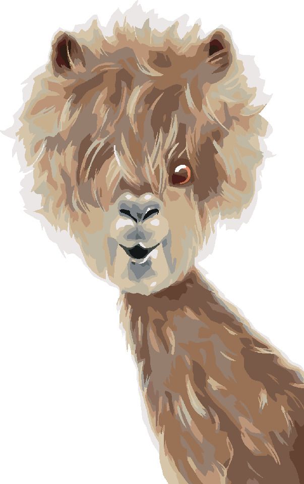 zuty Malování podle čísel - LAMA - Rozměr: 40x50 cm, Rámování: Varianta: bez rámu a bez vypnutí plátna - obrázek 3