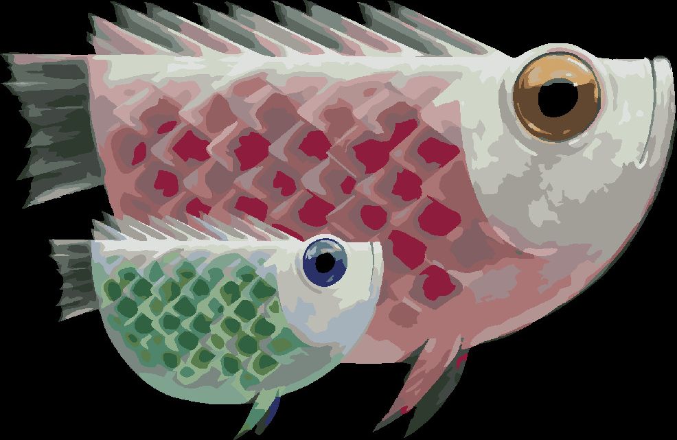 zuty Malování podle čísel - OBŘÍ RYBA A JEJÍ OBŘÍ MIMINKO - Rozměr: 40x50 cm, Rámování: Varianta: bez rámu a bez vypnutí plátna - obrázek 5