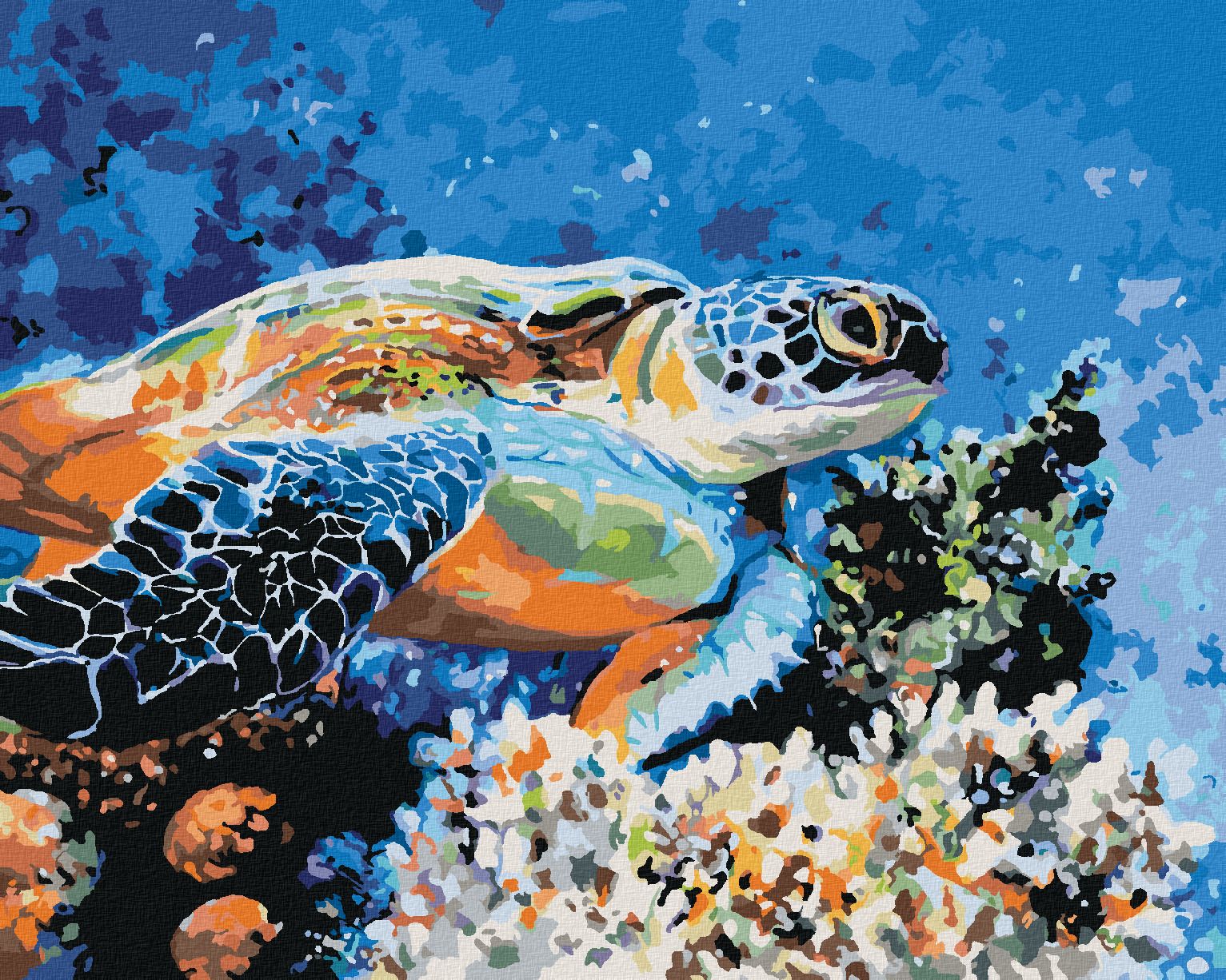 zuty Malování podle čísel - MOŘSKÁ ŽELVA - Rozměr: 40x50 cm, Rámování: Varianta: bez rámu a bez vypnutí plátna - obrázek 1