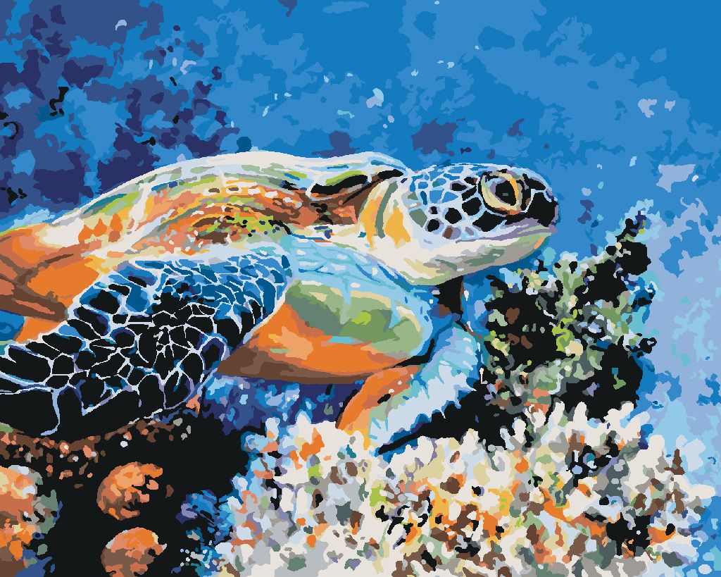 zuty Malování podle čísel - MOŘSKÁ ŽELVA - Rozměr: 40x50 cm, Rámování: Varianta: vypnuté plátno na rám - obrázek 2