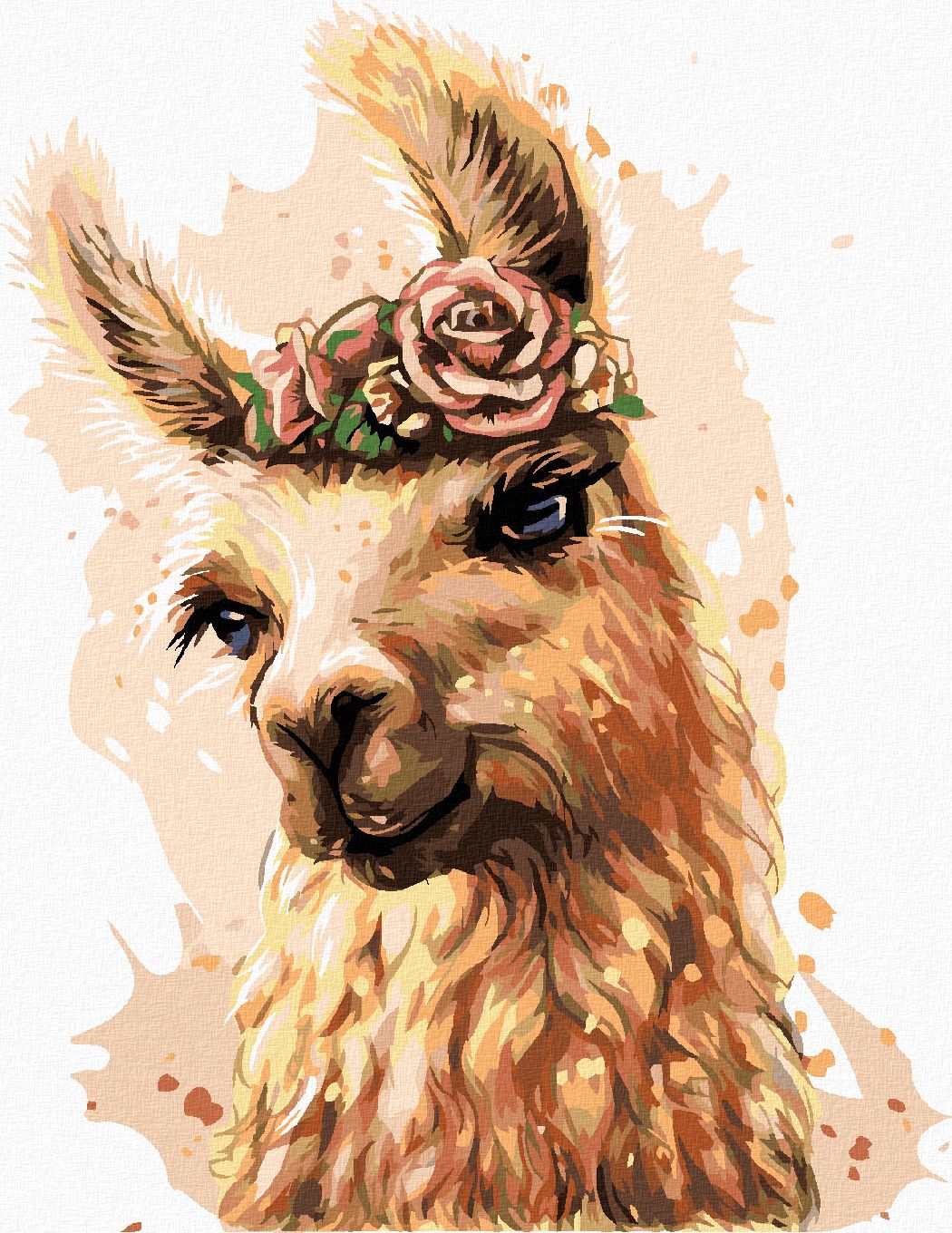 zuty Malování podle čísel - LAMA S KVĚTINAMI - Rozměr: 40x50 cm, Rámování: Varianta: vypnuté plátno na rám - obrázek 1