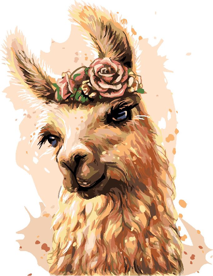 zuty Malování podle čísel - LAMA S KVĚTINAMI - Rozměr: 40x50 cm, Rámování: Varianta: vypnuté plátno na rám - obrázek 8