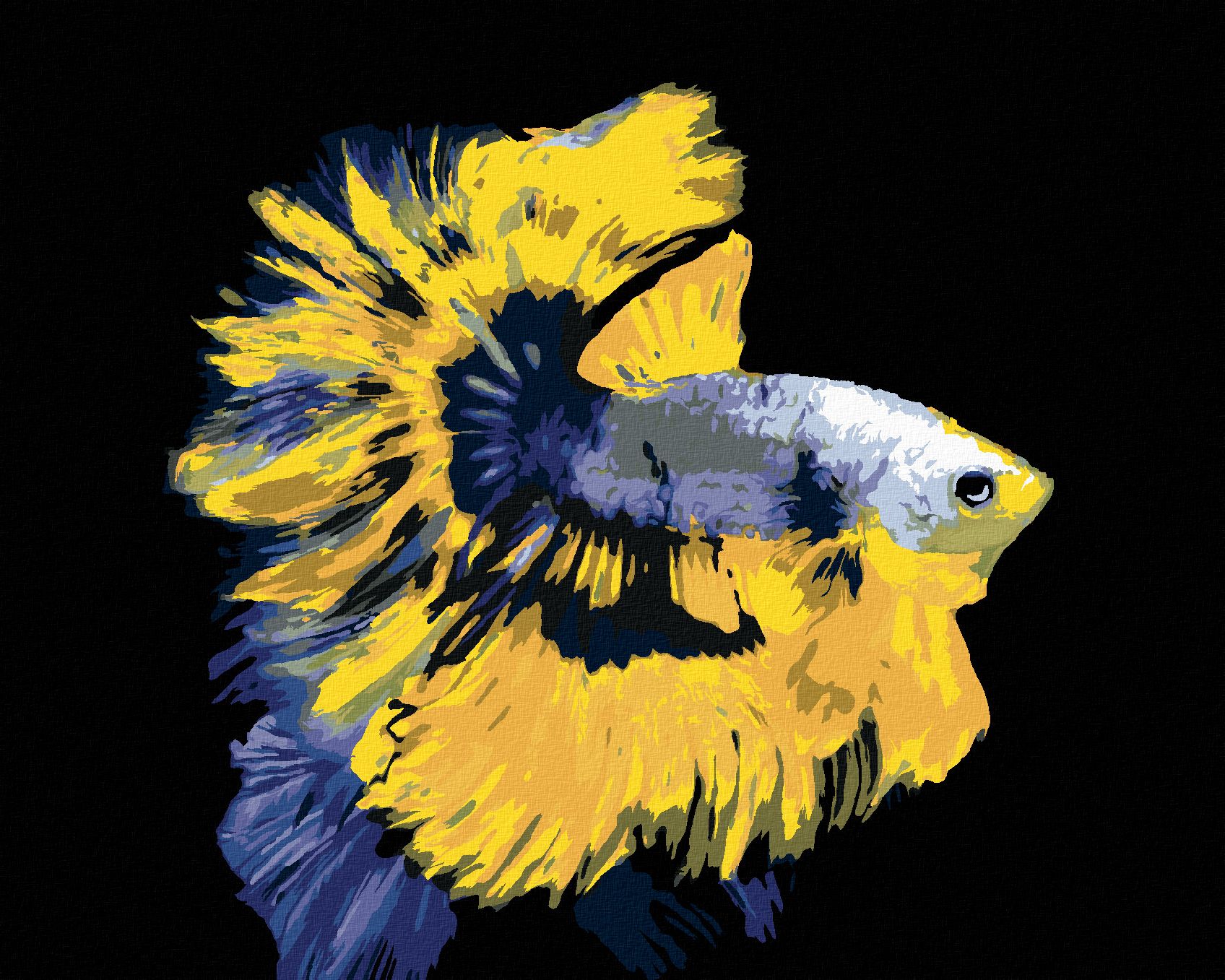 zuty Malování podle čísel - RYBA BOJOVNICE ŽLUTOMODRÁ - Rozměr: 40x50 cm, Rámování: Varianta: vypnuté plátno na rám - obrázek 1