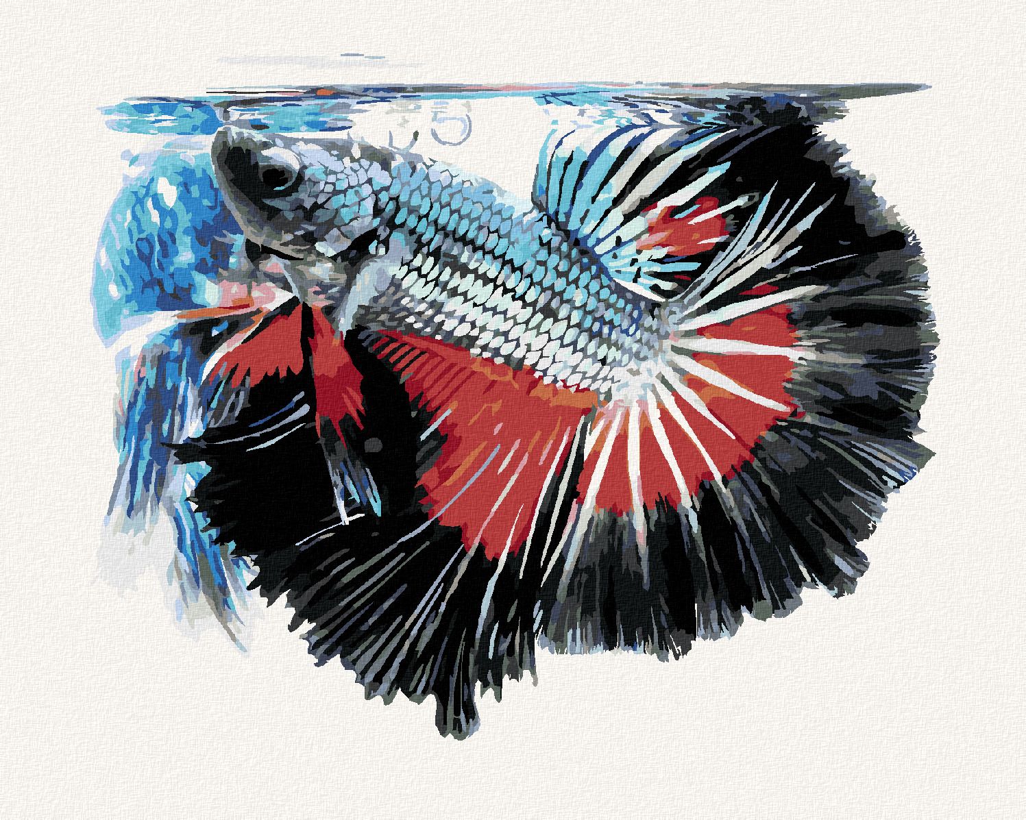 zuty Malování podle čísel - RYBA BOJOVNICE PESTRÁ - Rozměr: 40x50 cm, Rámování: Varianta: bez rámu a bez vypnutí plátna - obrázek 1