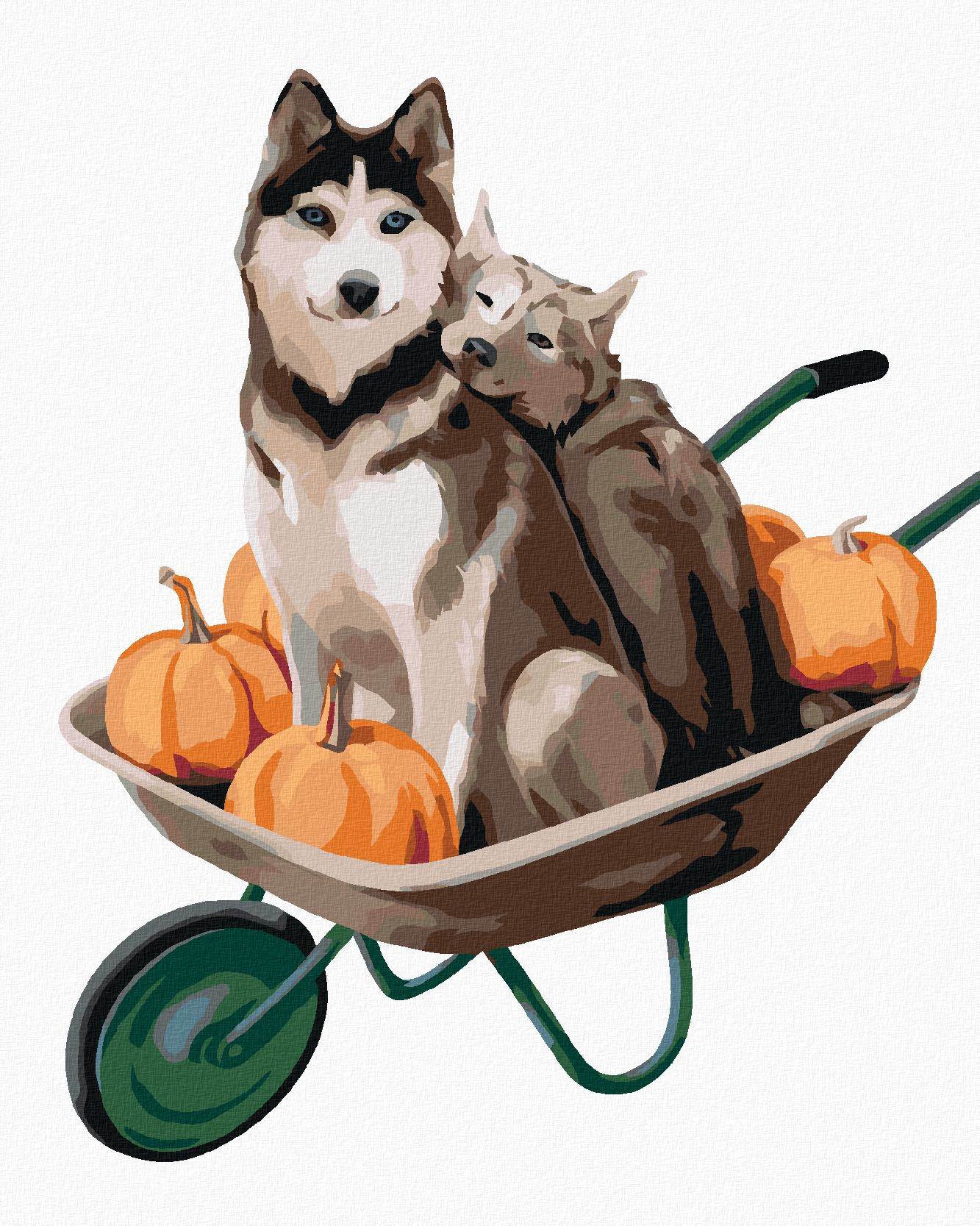 zuty Malování podle čísel - DVA HUSKY NA KOLEČKÁCH - Rozměr: 40x50 cm, Rámování: Varianta: vypnuté plátno na rám - obrázek 1