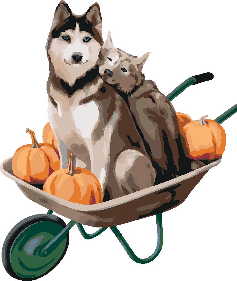 zuty Malování podle čísel - DVA HUSKY NA KOLEČKÁCH - Rozměr: 40x50 cm, Rámování: Varianta: vypnuté plátno na rám - obrázek 3