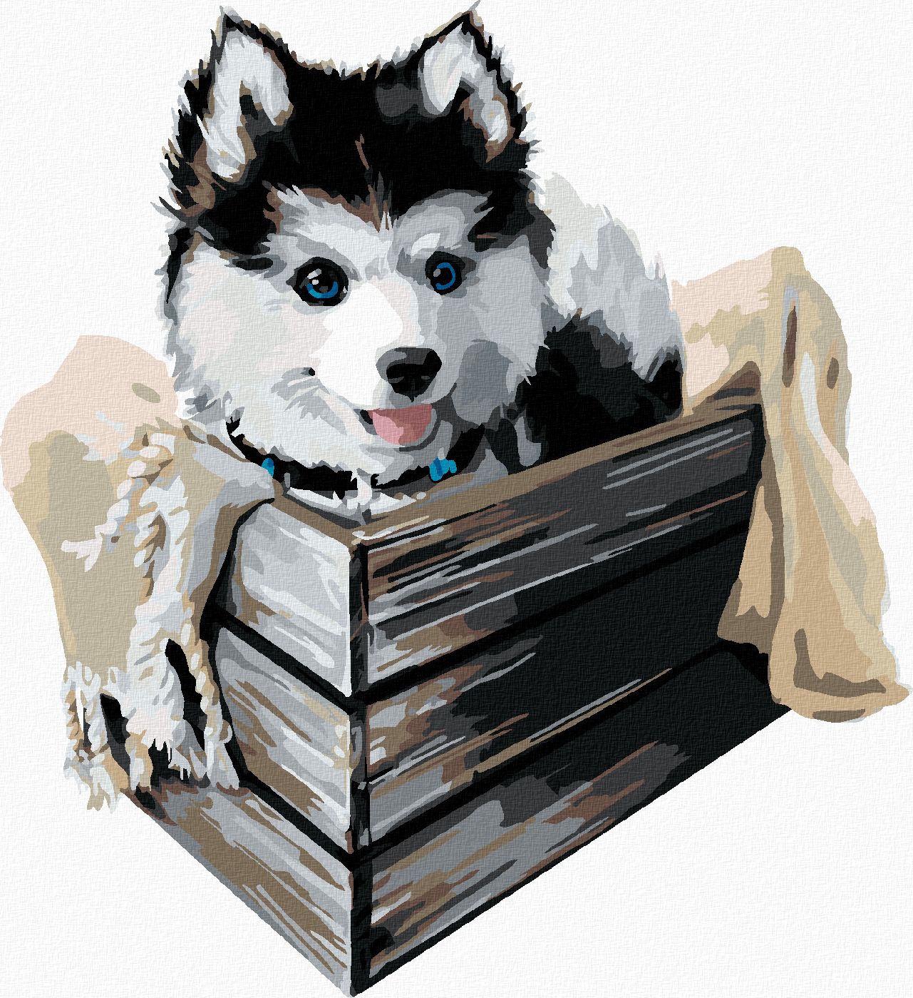 zuty Malování podle čísel - HUSKY V KRABICI - Rozměr: 40x50 cm, Rámování: Varianta: bez rámu a bez vypnutí plátna - obrázek 1