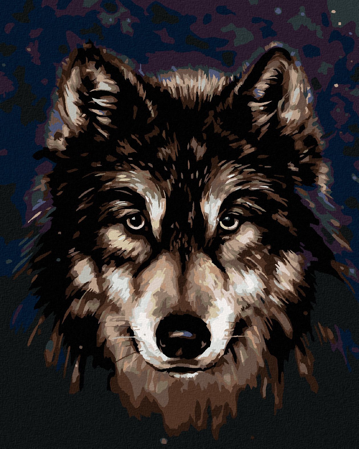 zuty Malování podle čísel - HLAVA HUSKYHO NA TMAVÉM POZADÍ - Rozměr: 40x50 cm, Rámování: Varianta: vypnuté plátno na rám - obrázek 1