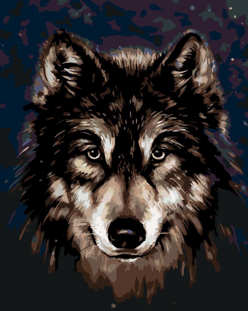 zuty Malování podle čísel - HLAVA HUSKYHO NA TMAVÉM POZADÍ - Rozměr: 40x50 cm, Rámování: Varianta: vypnuté plátno na rám - obrázek 6