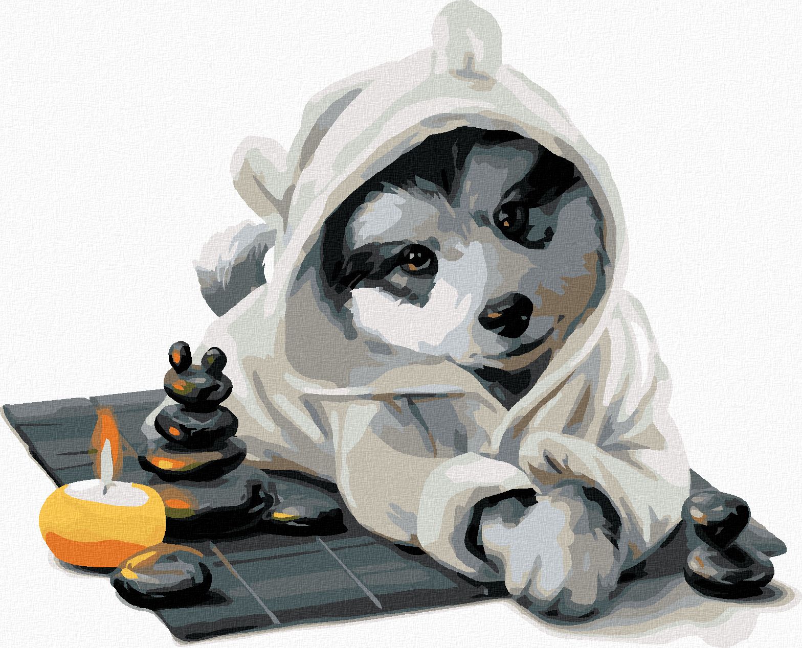 zuty Malování podle čísel - HUSKY RELAXUJE - Rozměr: 40x50 cm, Rámování: Varianta: bez rámu a bez vypnutí plátna - obrázek 1