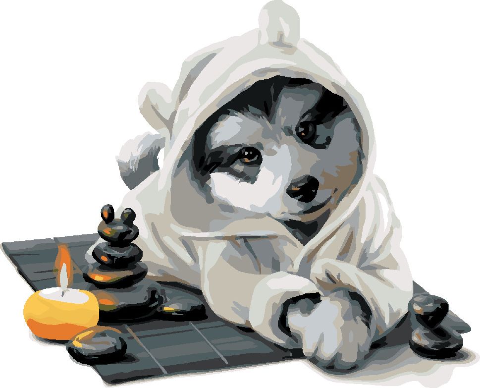 zuty Malování podle čísel - HUSKY RELAXUJE - Rozměr: 40x50 cm, Rámování: Varianta: bez rámu a bez vypnutí plátna - obrázek 2