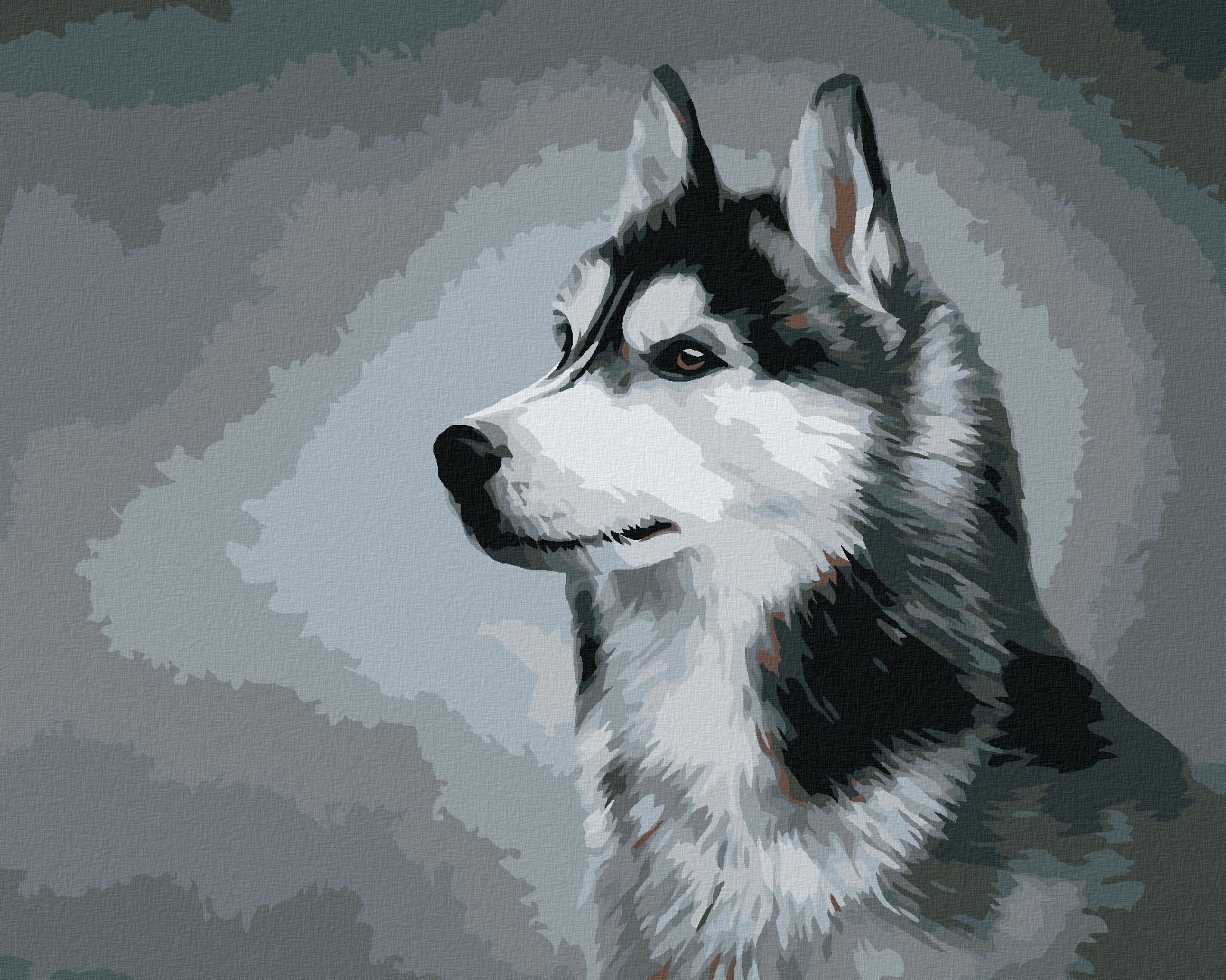 zuty Malování podle čísel - SIBIŘSKÝ HUSKY - Rozměr: 40x50 cm, Rámování: Varianta: bez rámu a bez vypnutí plátna - obrázek 1