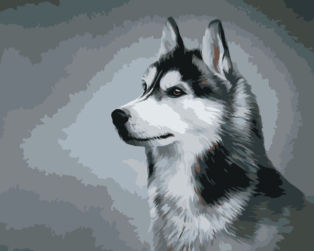 zuty Malování podle čísel - SIBIŘSKÝ HUSKY - Rozměr: 40x50 cm, Rámování: Varianta: bez rámu a bez vypnutí plátna - obrázek 10