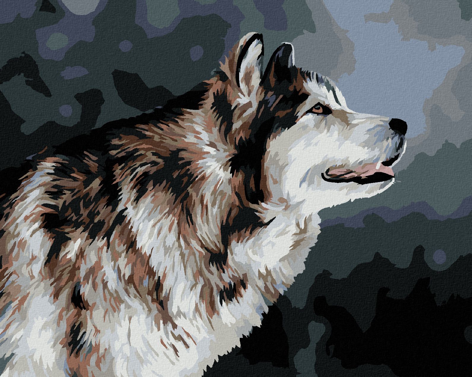 zuty Malování podle čísel - VYHLÍŽEJÍCÍ HUSKY - Rozměr: 40x50 cm, Rámování: Varianta: vypnuté plátno na rám - obrázek 1