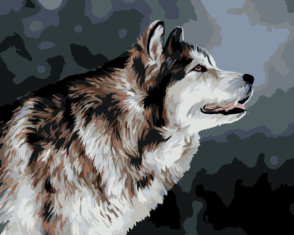 zuty Malování podle čísel - VYHLÍŽEJÍCÍ HUSKY - Rozměr: 40x50 cm, Rámování: Varianta: vypnuté plátno na rám - obrázek 9
