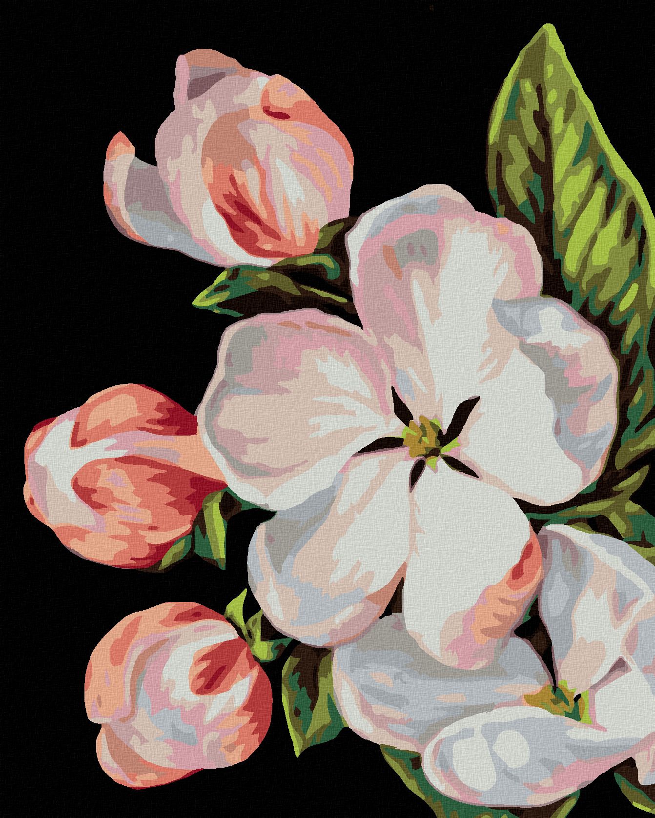 zuty Malování podle čísel - KVĚT JABLONĚ (MYROSLAVA VOLOSCHUK) - Rozměr: 40x50 cm, Rámování: Varianta: vypnuté plátno na rám - obrázek 1