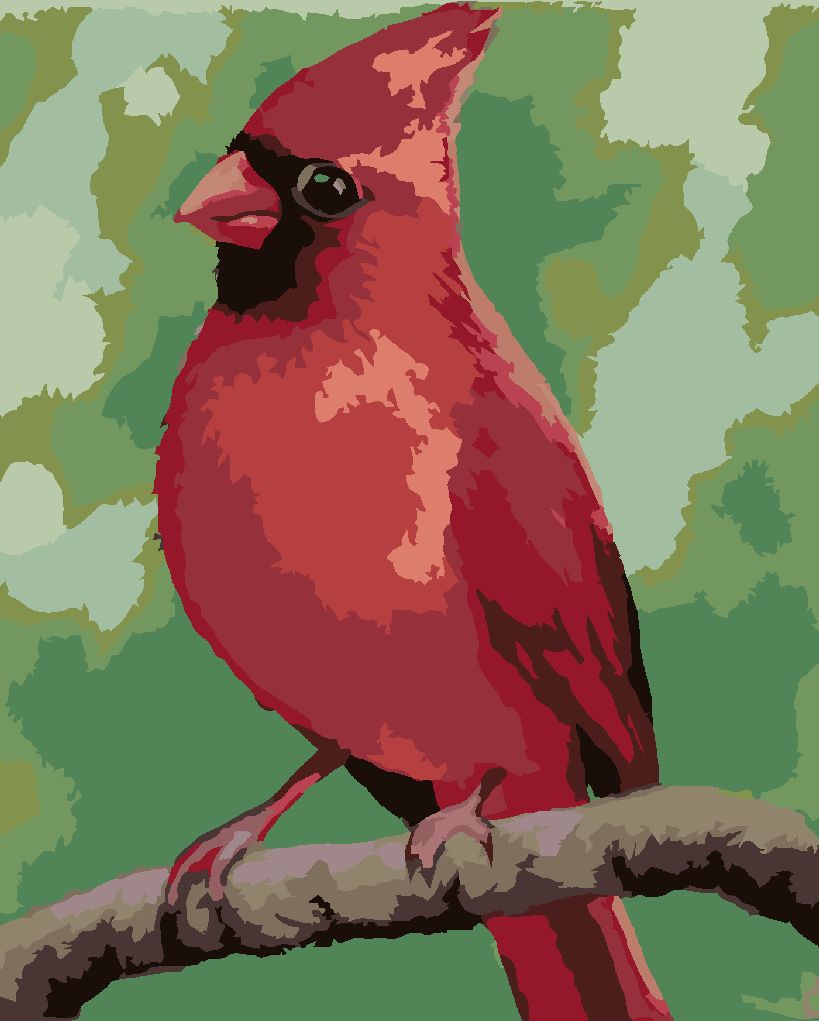zuty Malování podle čísel - ČERVENÝ PTÁČEK (MYROSLAVA VOLOSCHUK) - Rozměr: 40x50 cm, Rámování: Varianta: vypnuté plátno na rám - obrázek 3