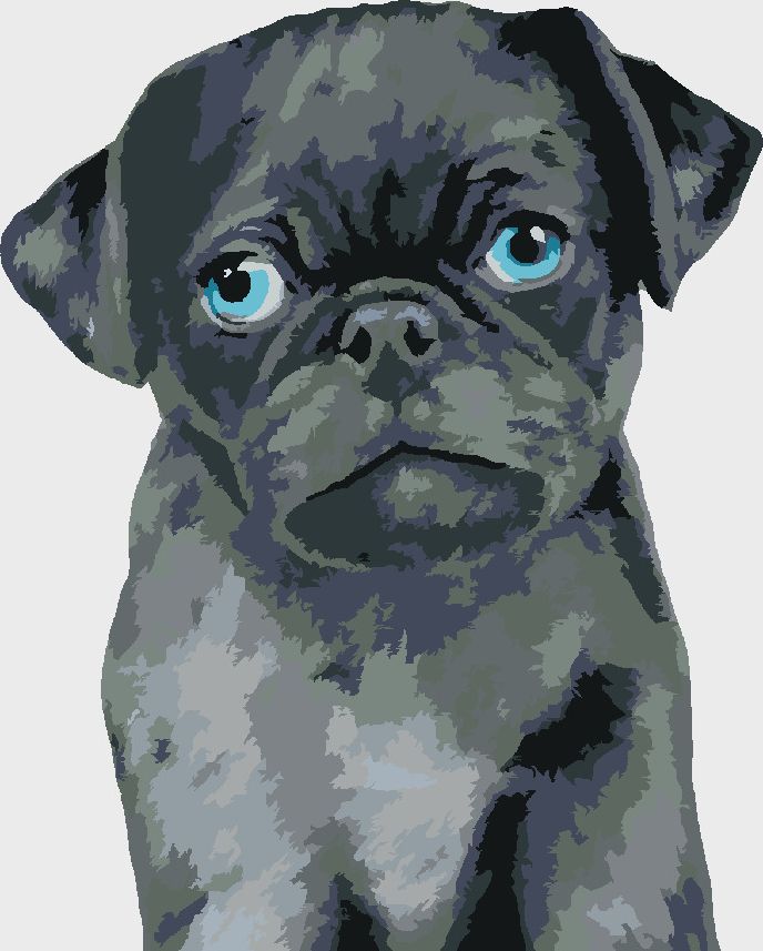 zuty Malování podle čísel - MOPSÍK (MYROSLAVA VOLOSCHUK) - Rozměr: 40x50 cm, Rámování: Varianta: vypnuté plátno na rám - obrázek 10