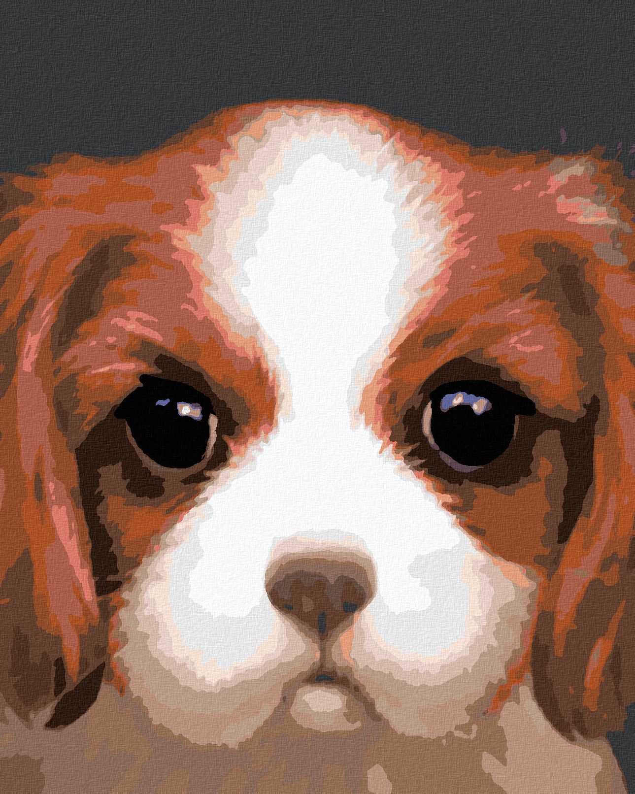 zuty Malování podle čísel - PES - KAVALÍR KING CHARLES ŠPANĚL (MYROSLAVA VOLOSCHUK) - Rozměr: 40x50 cm, Rámování: Varianta: bez rámu a bez vypnutí plátna - obrázek 1