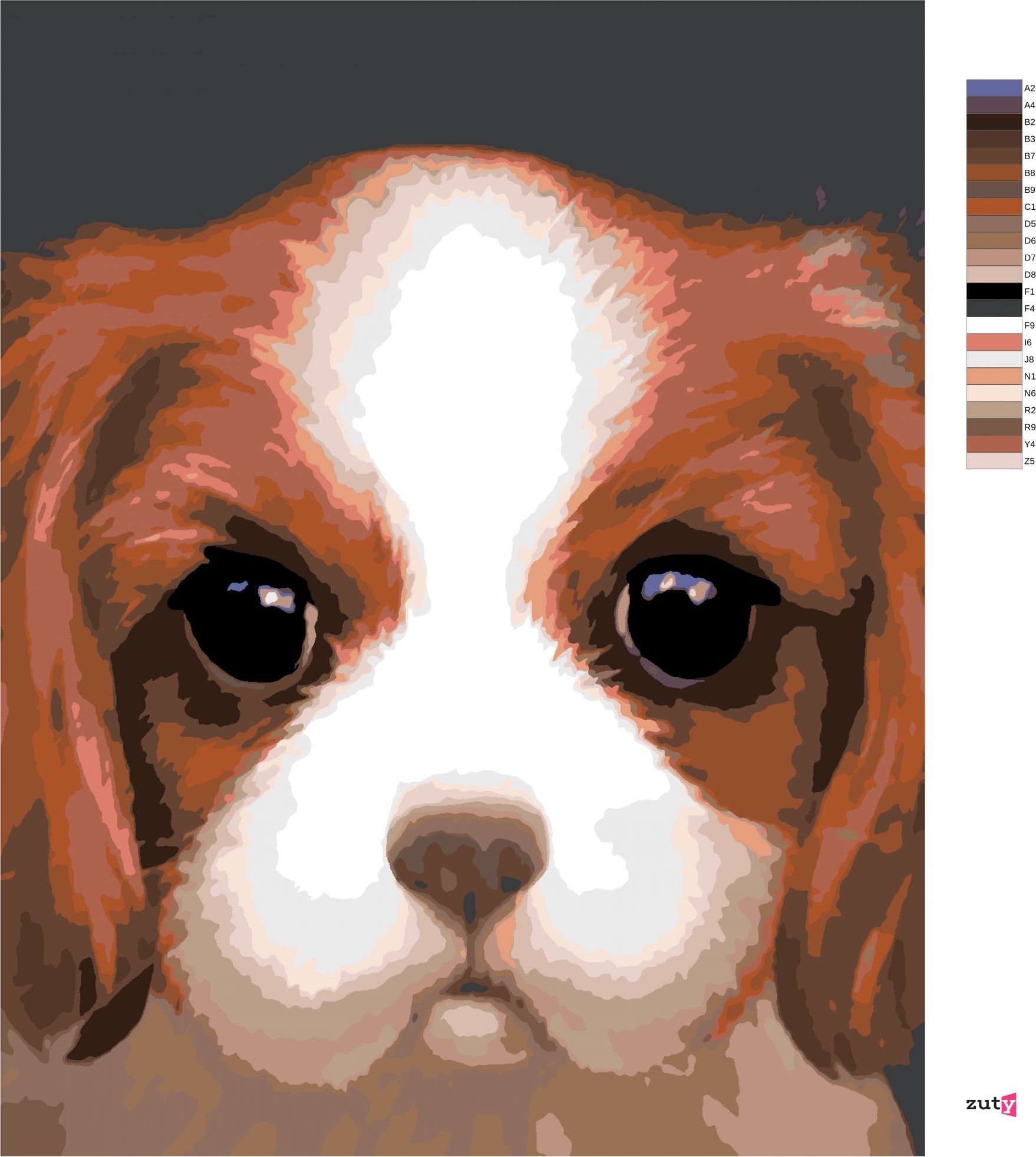 zuty Malování podle čísel - PES - KAVALÍR KING CHARLES ŠPANĚL (MYROSLAVA VOLOSCHUK) - Rozměr: 40x50 cm, Rámování: Varianta: vypnuté plátno na rám - obrázek 3