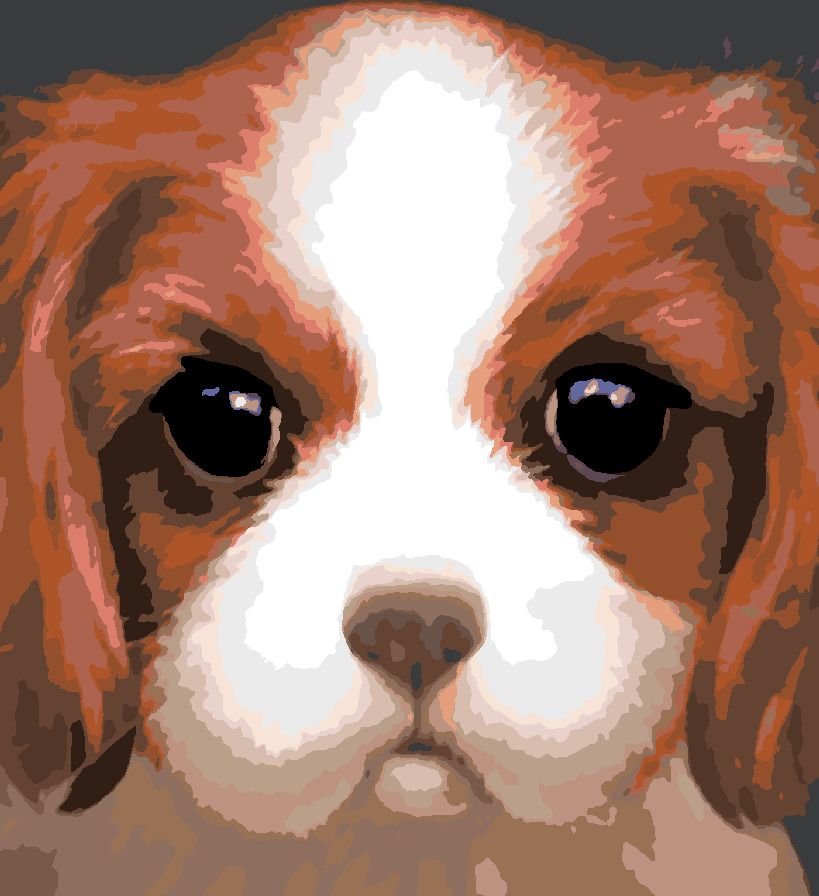 zuty Malování podle čísel - PES - KAVALÍR KING CHARLES ŠPANĚL (MYROSLAVA VOLOSCHUK) - Rozměr: 40x50 cm, Rámování: Varianta: vypnuté plátno na rám - obrázek 9