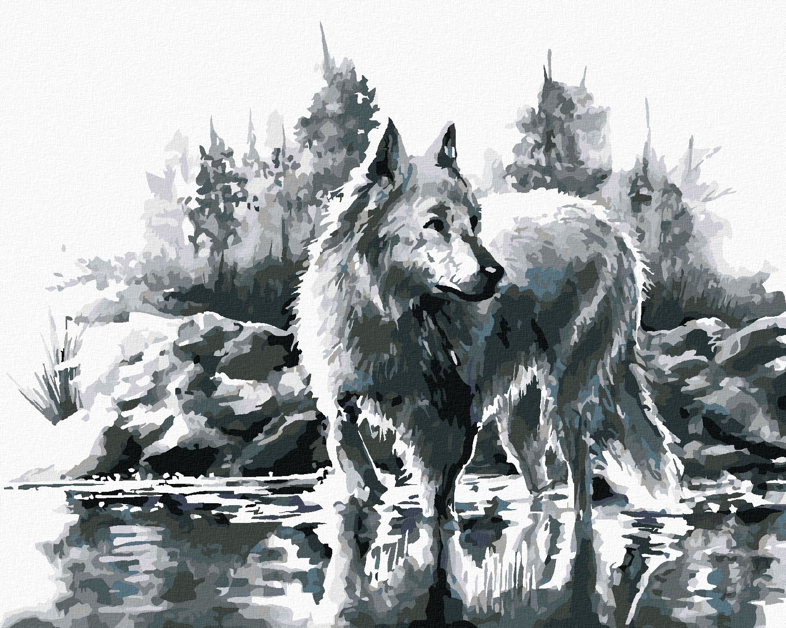 zuty Malování podle čísel - BÍLÝ VLK - Rozměr: 40x50 cm, Rámování: Varianta: vypnuté plátno na rám - obrázek 1